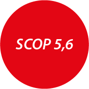 SCOP 5,6
